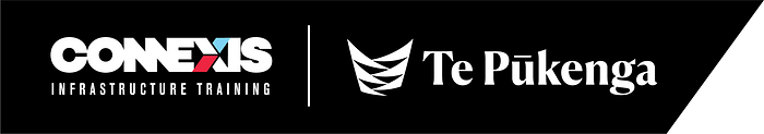 Palmerston North All Industries Assessor Forum logo